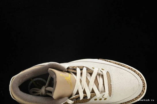 Retro Jordan  3  CT8532-102 Palomino CT8532-102 0925